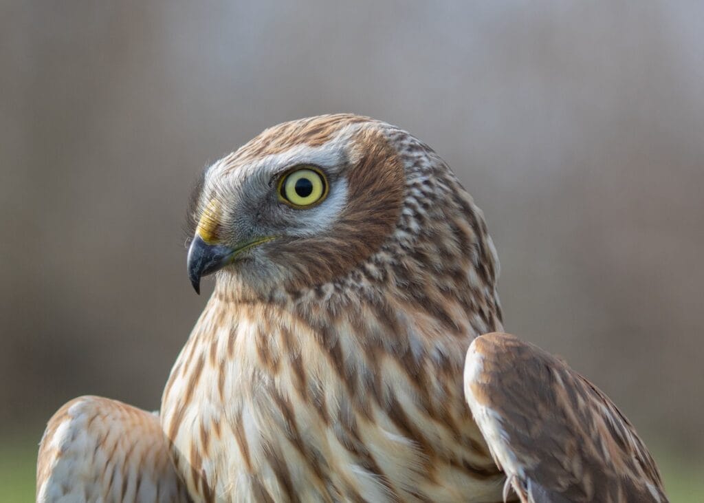 1def0cc5-af65-42b7-9605-3bb03b0627c2